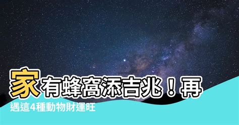 家裡有蜂窩代表|【蜂窩風水】家有蜂窩風水吉凶解密：黃蜂入宅，招財。